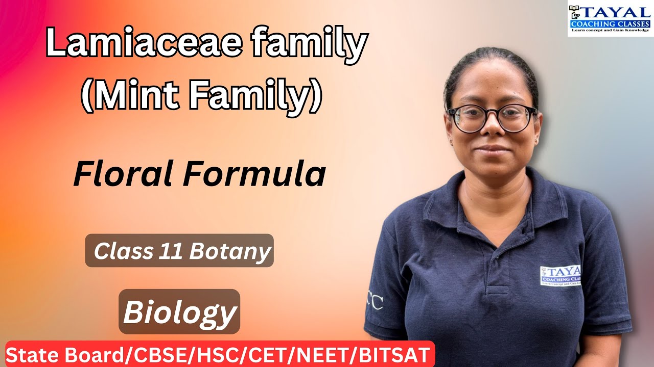 Lamiaceae family (Mint Family) || Floral Formula