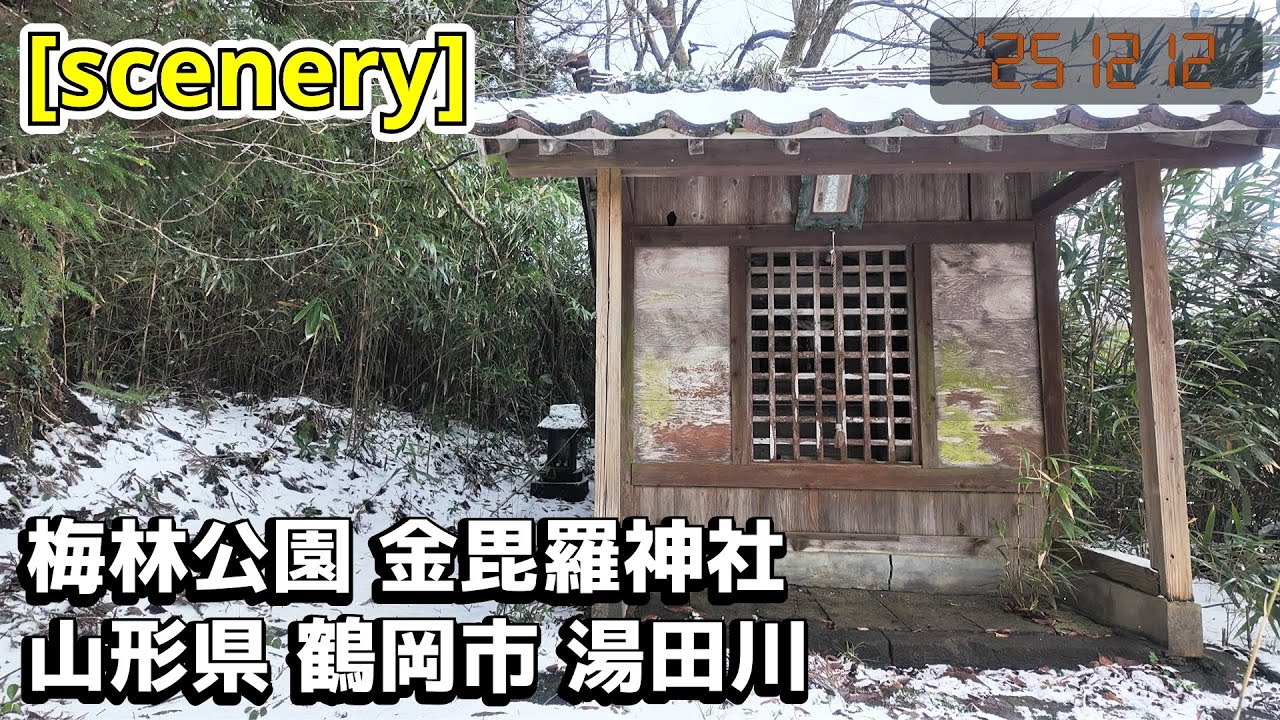 【神社の音景色】梅林公園 金毘羅神社,山形県鶴岡市湯田川【庄内の風景225】