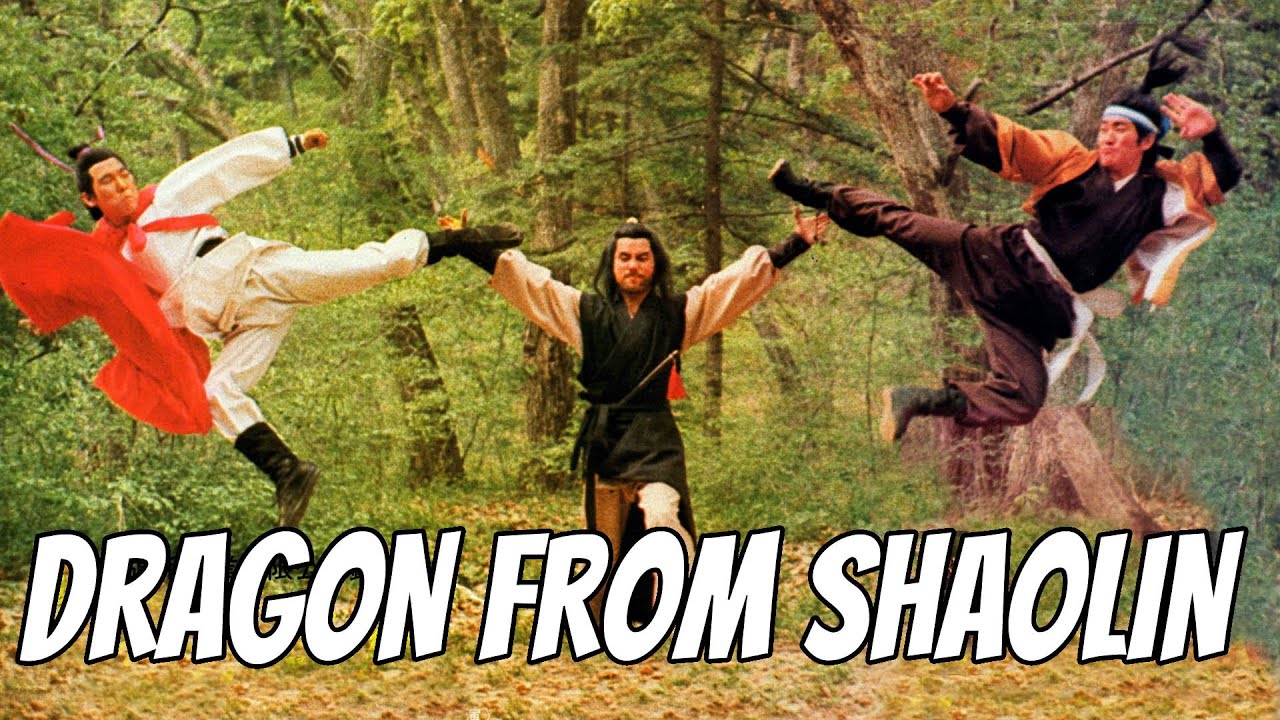 Wu Tang Collection - Dragon from Shaolin WIDESCREEN
