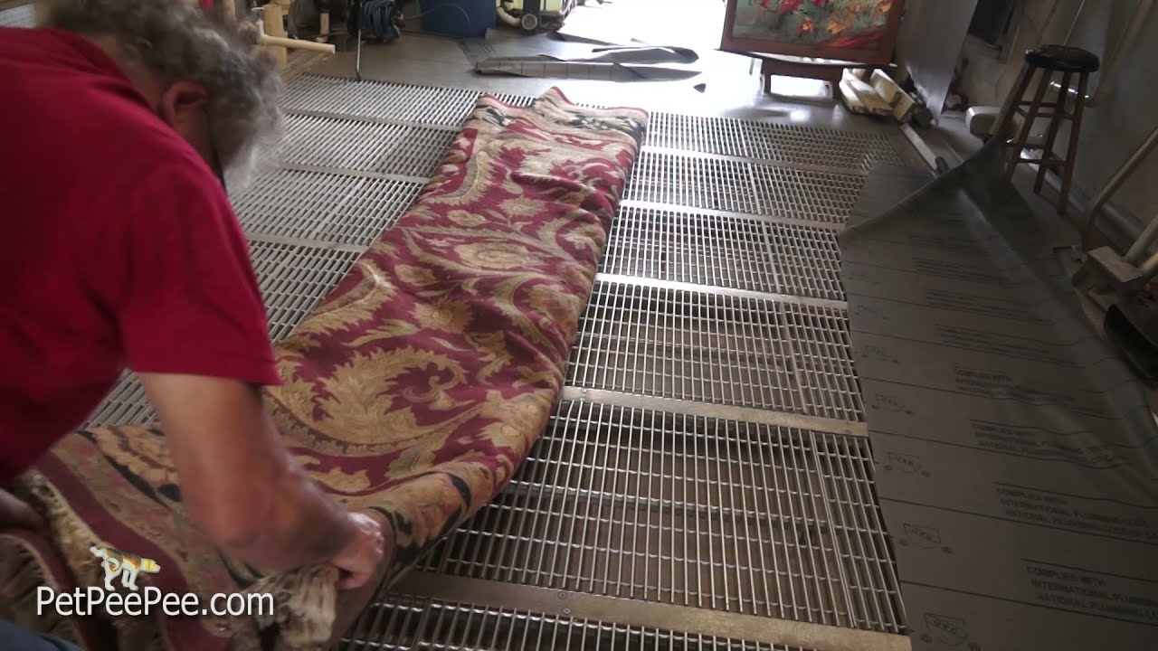 Machine to remove Pet Pee Pee from Oriental rug