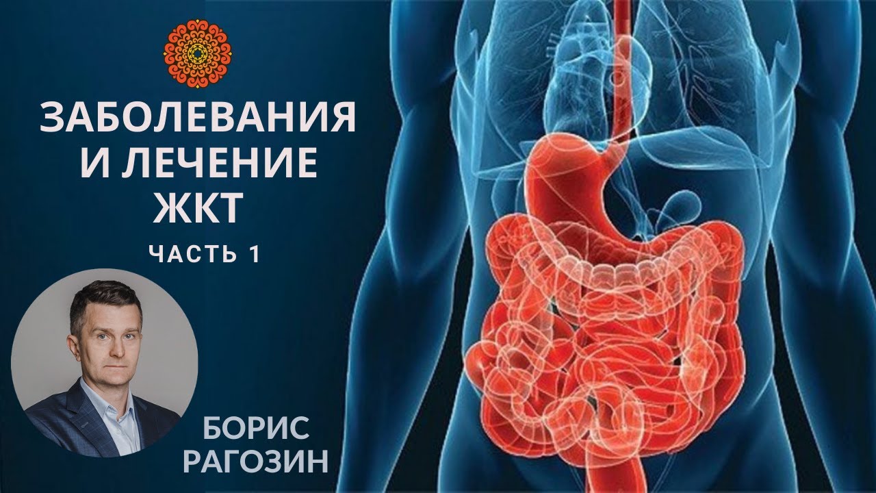 Заболевания и лечение ЖКТ. Часть 1. Рагозин Б.В.
