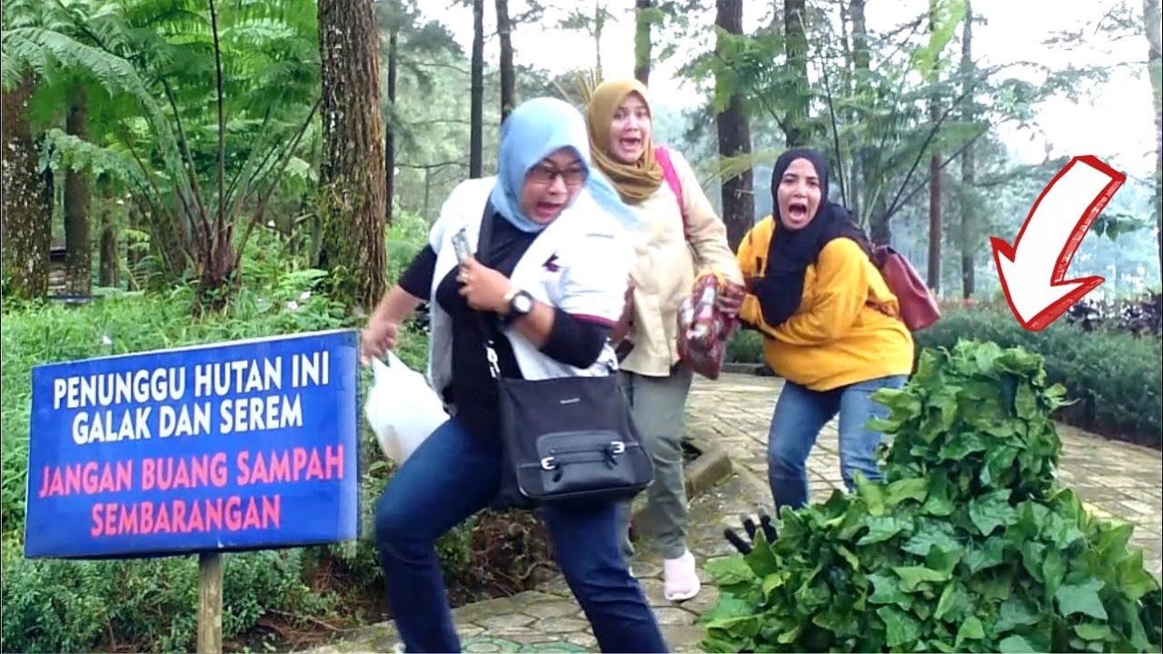 Bushman prank seram sekali..!!