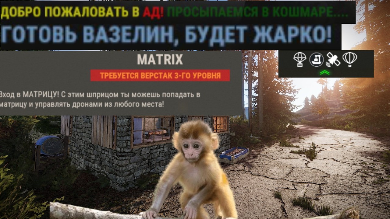 САМЫЙ СТРАННЫЙ ПВЕ СЕРВЕР В РАСТ ( RUST )