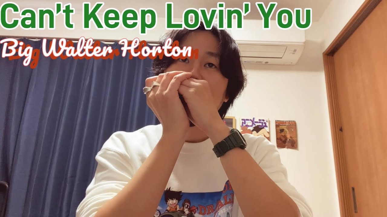 Can’t Keep Lovin’ You - Big Walter Horton (cover) #blues #bluesharmonica #harmonica #cover