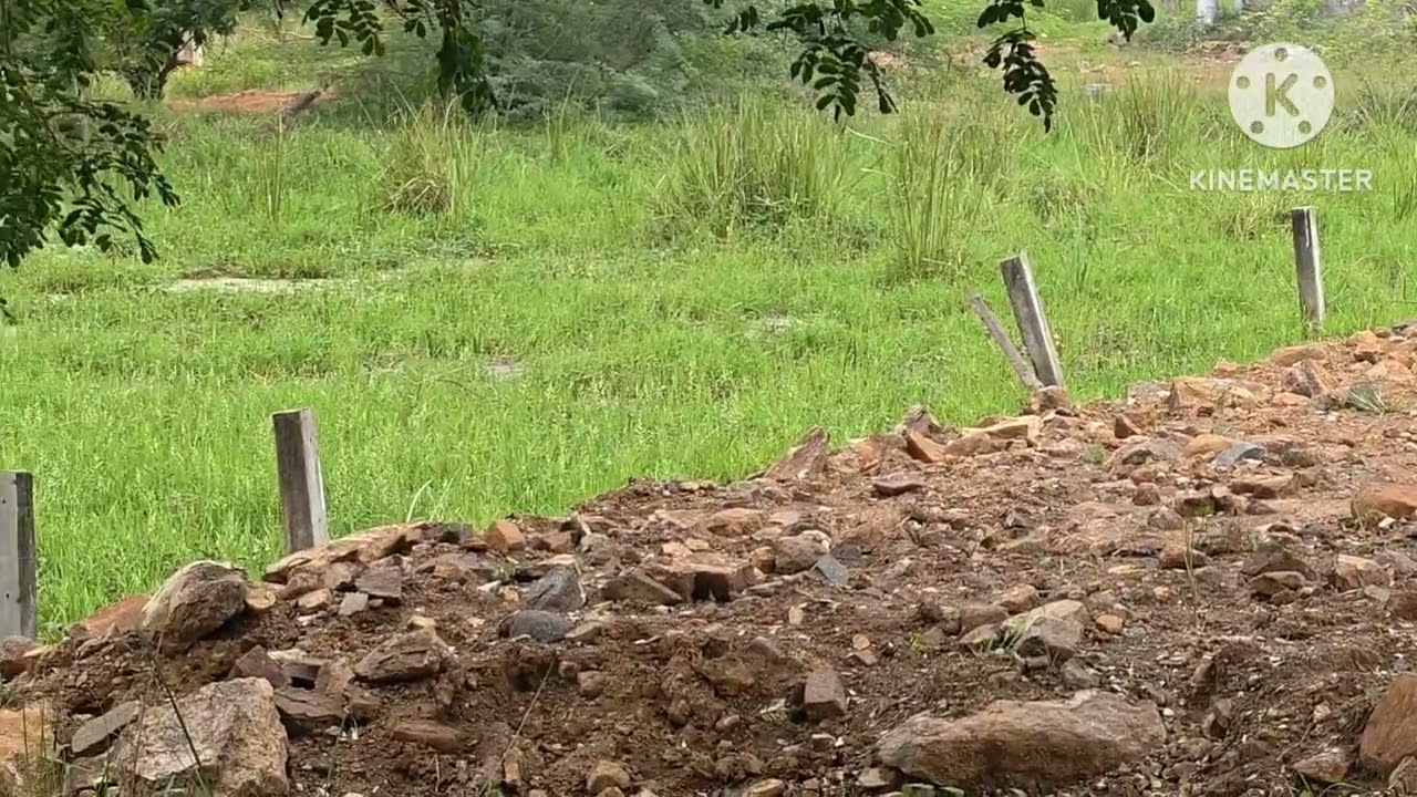 ఆంధ్రప్రదేశ్ విజయవాడ గుంట్టుపల్లి దగ్గర CA కల్యాణ మండపం దగ్గర 272గజాలు గజం 53000/-.9705708399