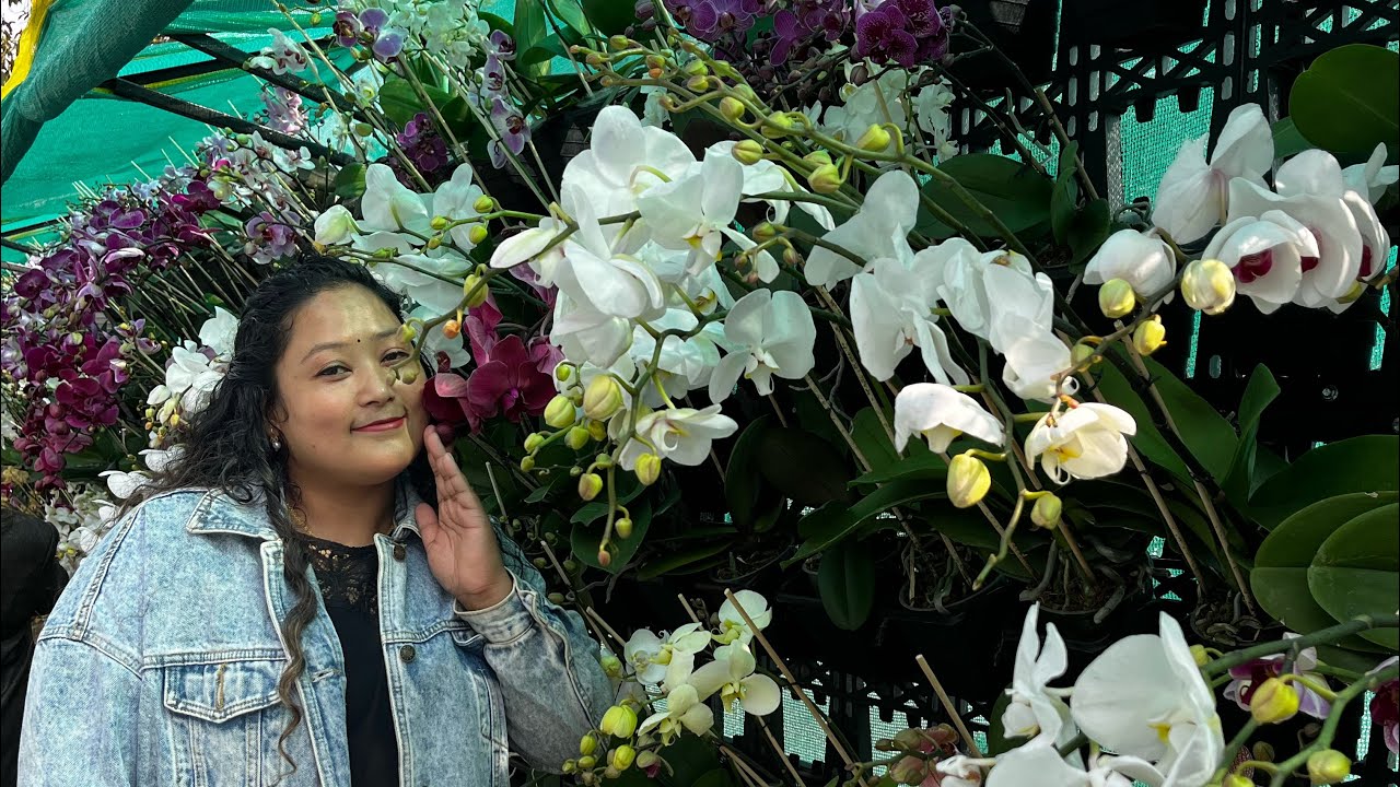 Indian Orchid Festival 2025/ICAR Pakyong Sikkim