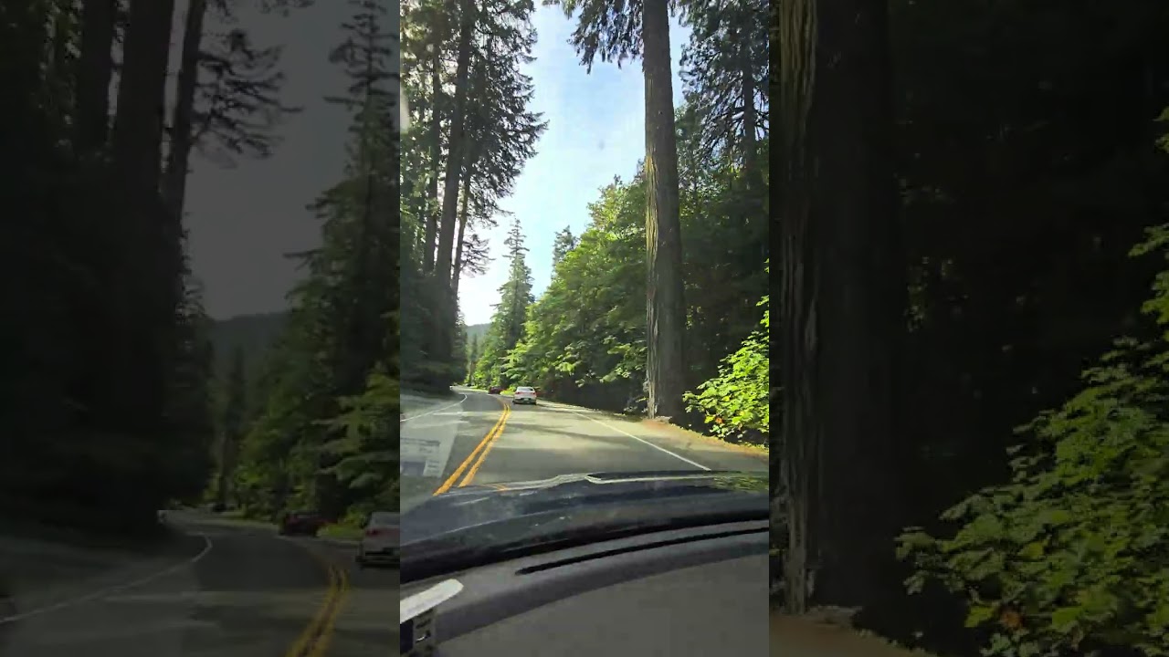driving from Cameron Lake to Port Alberni along highway 4