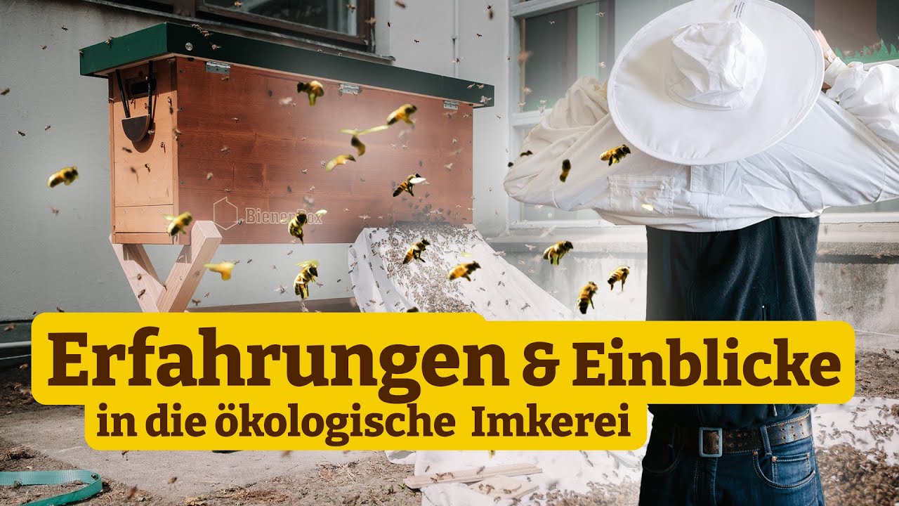 Bienenstunde: Dein erstes Jahr mit Bienen – Einblicke in die Praxis des ökologischen Imkerns