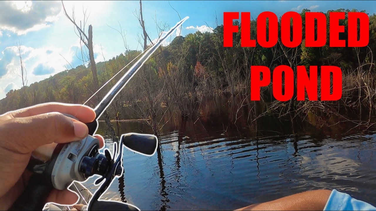 JON BOAT Pond Hopping Fishing FLOODED TIMBER POND