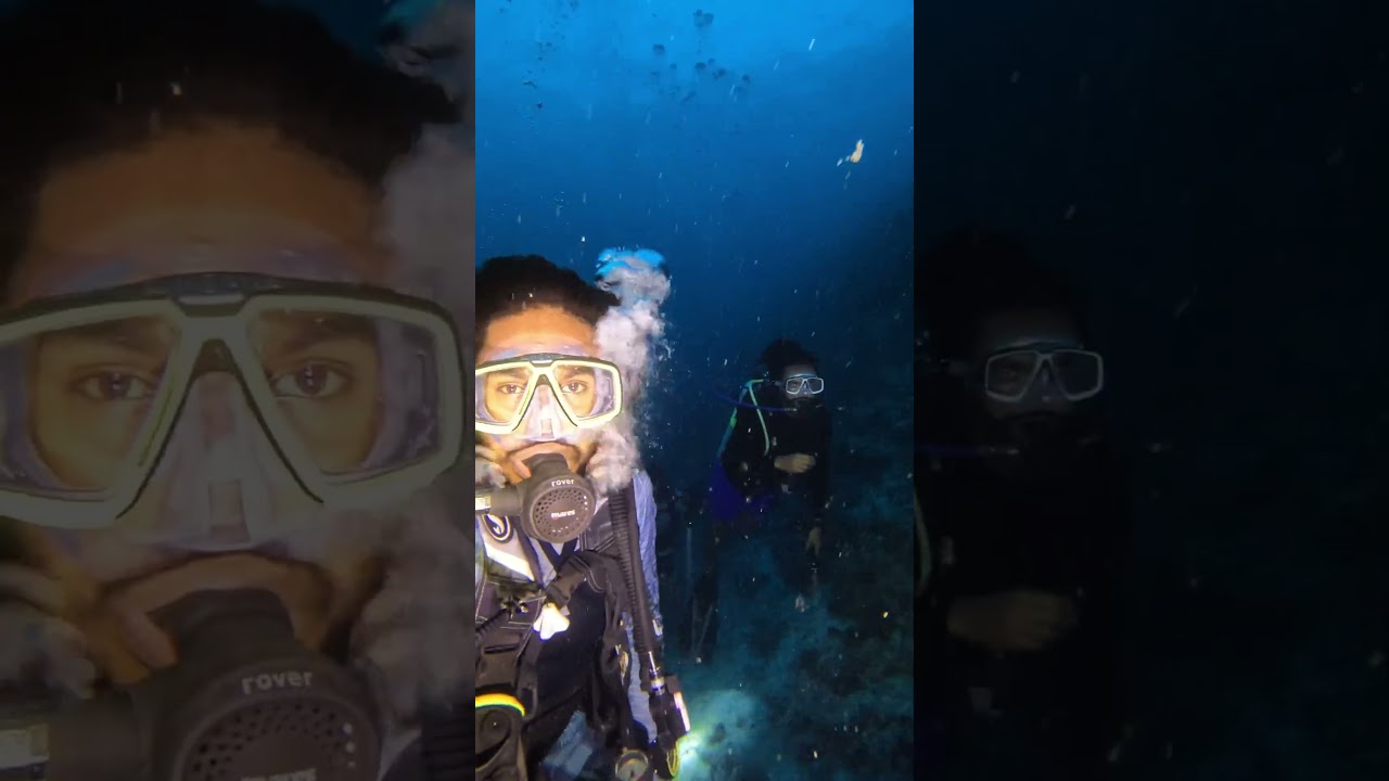 Ariadhoo Corner - Night Dive #turtle #animal #scuba #travel #scubadiving #maldives #dive #fish
