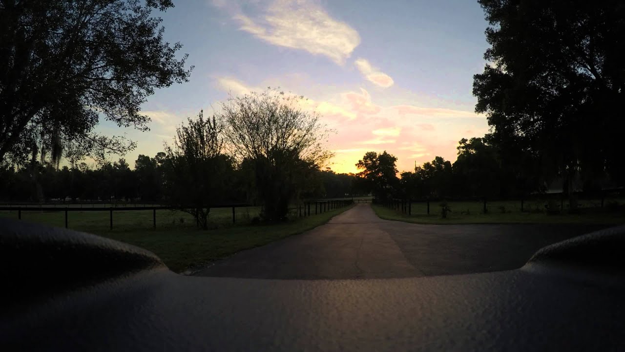 Sunrise from the lid of our garbage can
