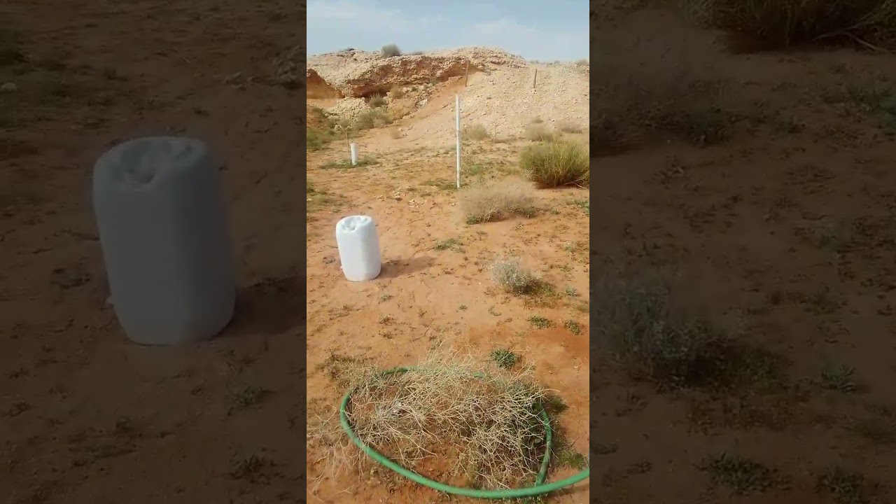 جولة في الربيع