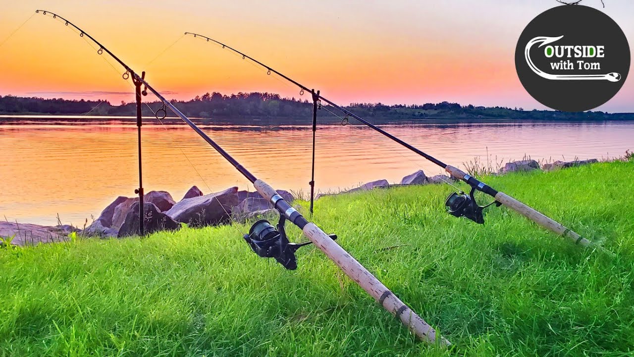 This Lake has ONLY Big Fish? (Sunset Carp Fishing)