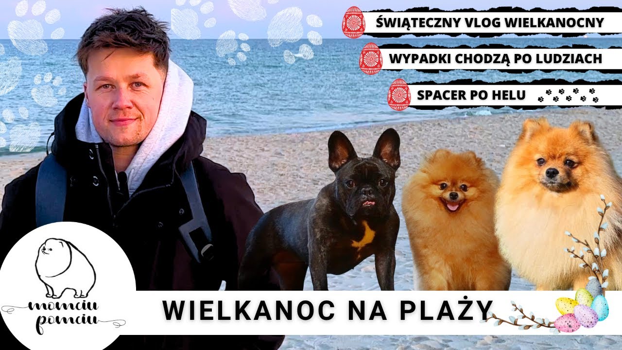 Wielkanoc na Helu. Psy na plaży. Wiatr w futrze, piasek pod łapkami. Weekend z psami. Psy nad morzem