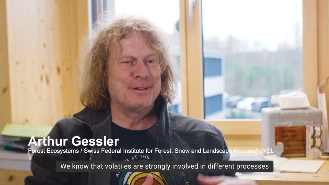 Atmospheric Forest, 2020.Interviews with WSL Scientists by Rasa Smite.Ecodata-Ecomedia-Ecoaesthetics
