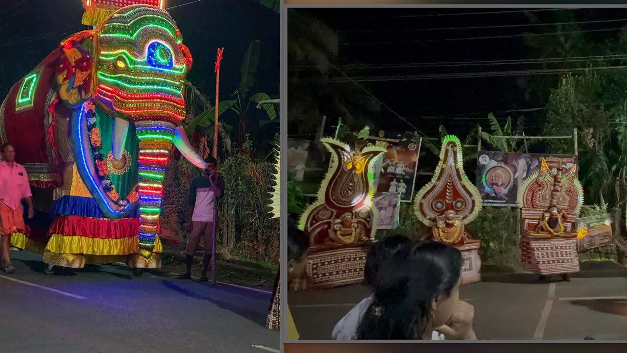 ഇത്‌ ഞാൻ ആദ്യായിട്ടാ കാണുന്നത് 😎👀
