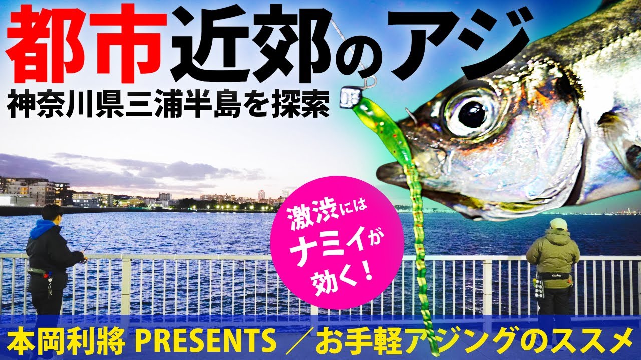 三浦半島アジング調査／都市近郊のお手軽釣り場・三浦半島を満喫