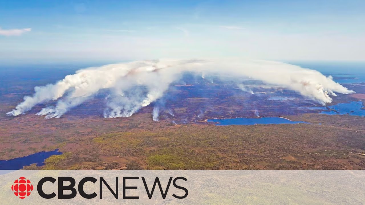 22-year-old charged over Nova Scotia's largest-ever wildfire