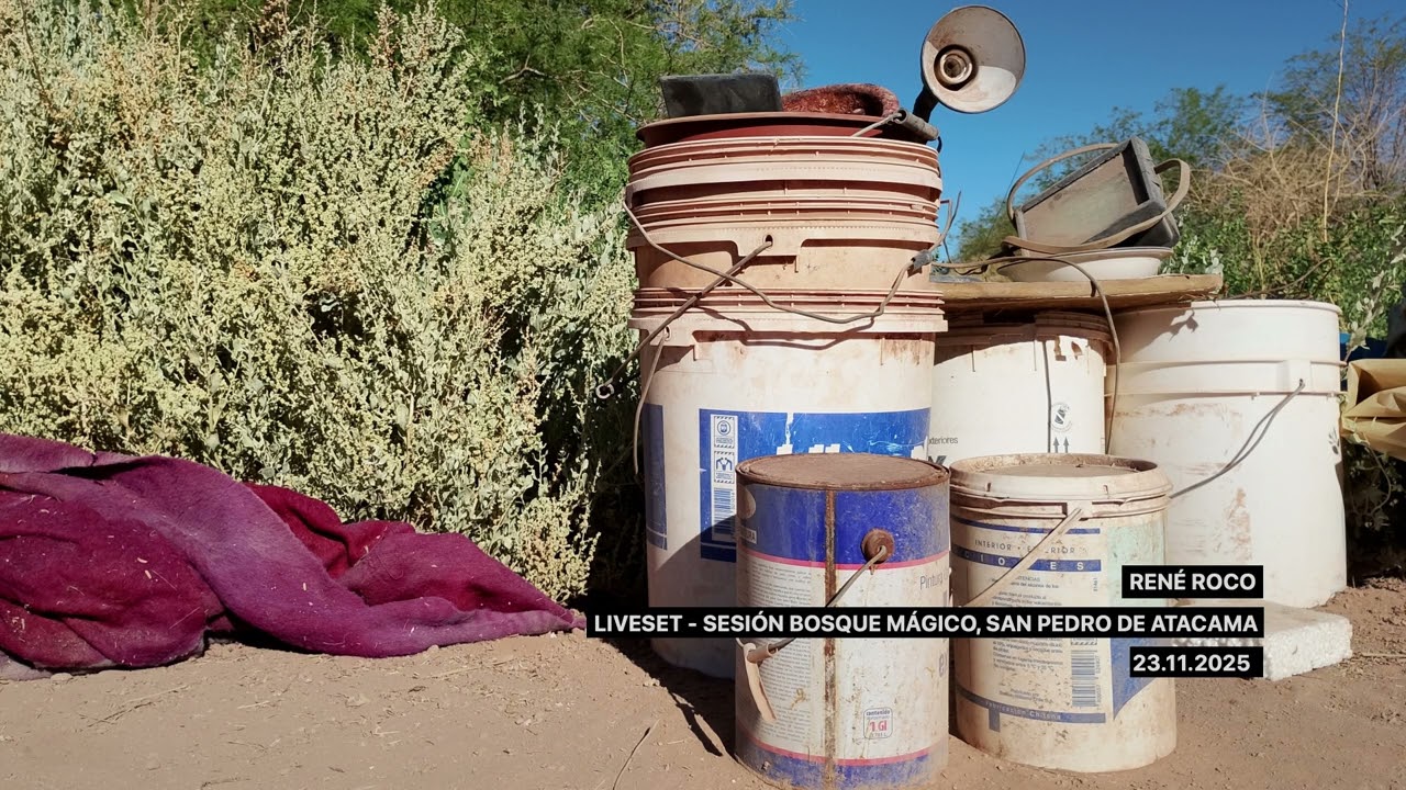 René Roco - Liveset Sesión Bosque Mágico / 23-11-2025