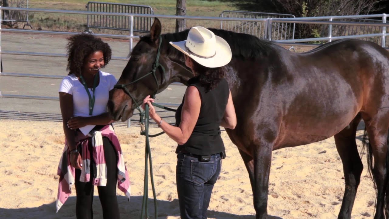 Vista Caballo at the  2014 Bioneers' Summit Conference. Over 2,000 people attended