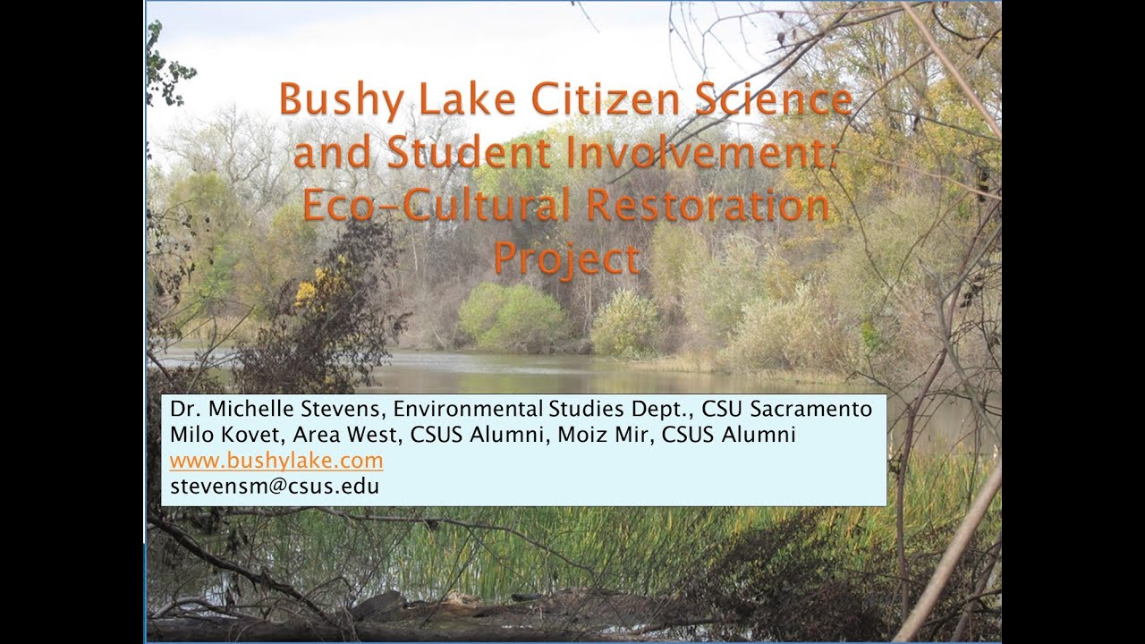 Good news at the Bushy Lake eco-cultural restoration
