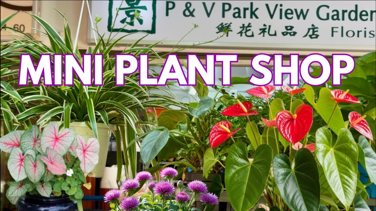 🌿 Mini Plant Shop Tour | A Small Plant Shop Near Residential Housing