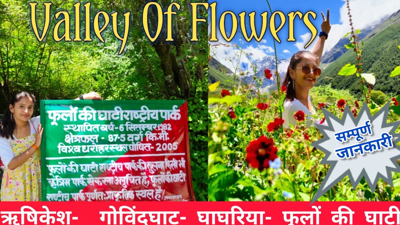 Valley of flowers | फूलों की घाटी | Complete tour guide of Valley of flower | #valleyofflowers