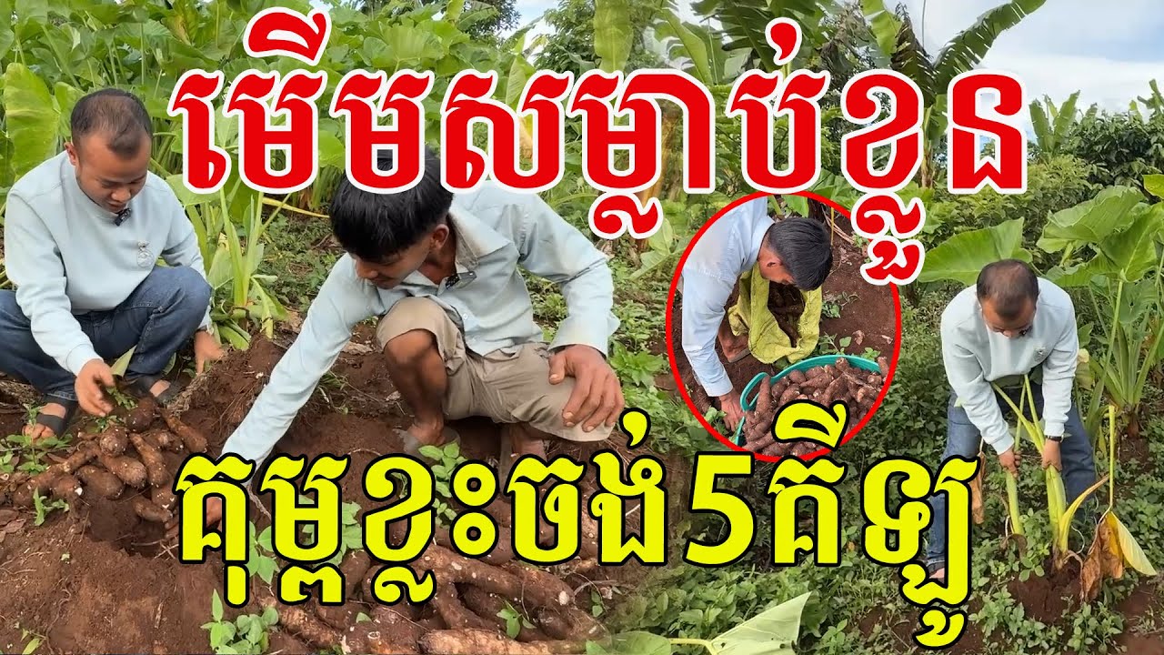 ម្ចាស់ថ្លៃ គុម្ពខ្លះចង់5គីឡូ​ ជួបរបស់ពិតហេីយ