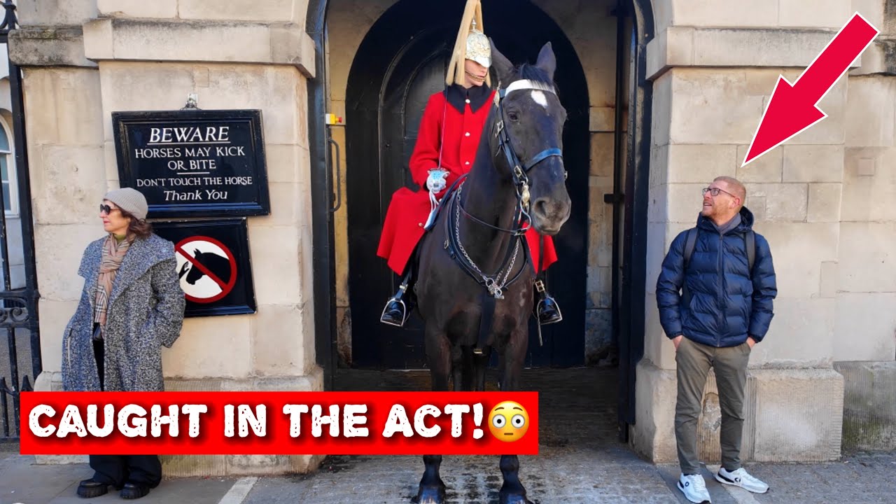 😲Tourist Tries to SNEAK into Horse Guard Box… Guess What Happens Next!