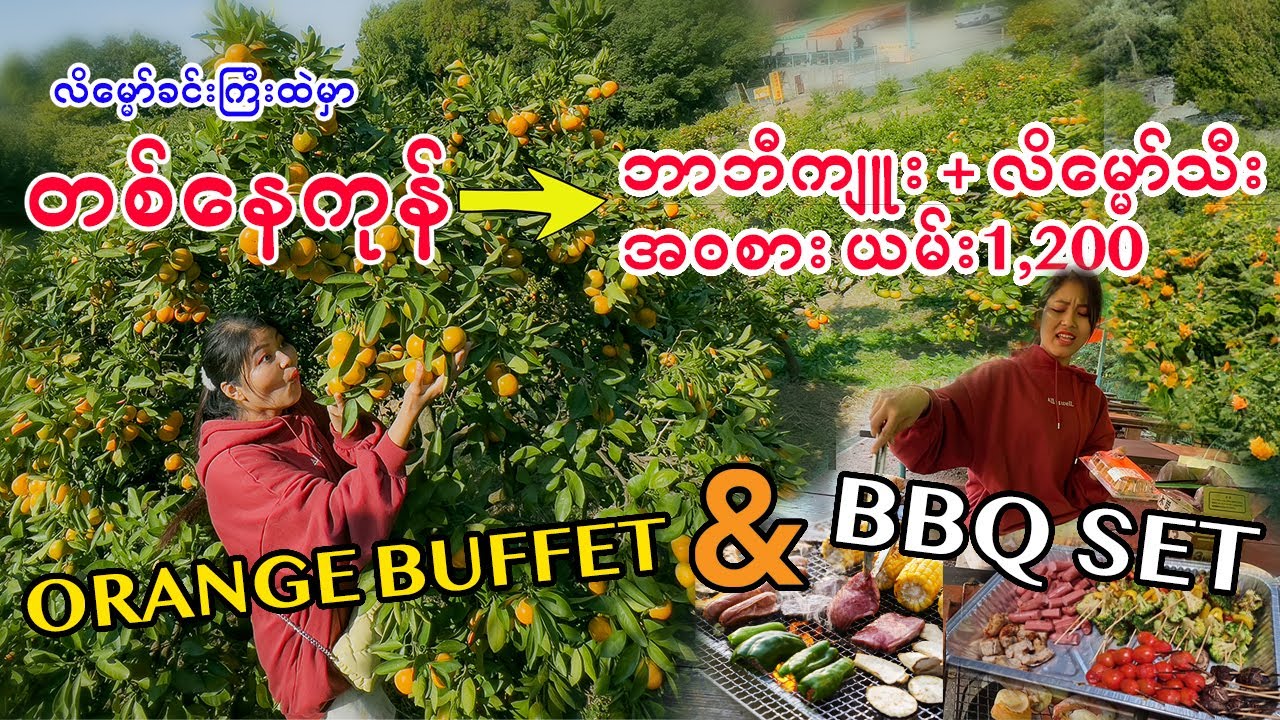 လိမ္မော်သီးတနေကုန် အ၀စား ၁၂၀၀နဲ့အသားကင်ပါ လုပ်စားကြမယ်_OrangeBuffetAndBarbequeSetWith1,200Yen_Vol.51