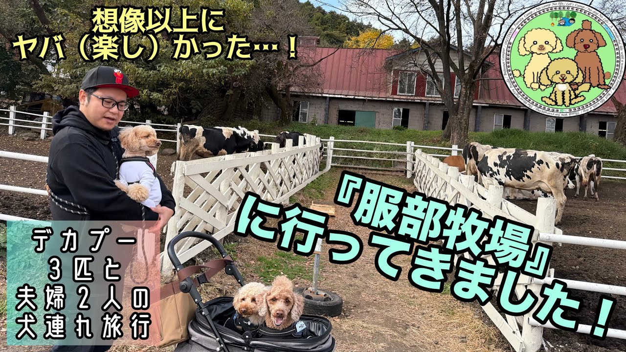 服部牧場 に行ってきました！