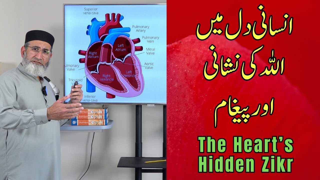 Signs of Allah in the Human Heart | Spiritual Secrets of Lub Dub