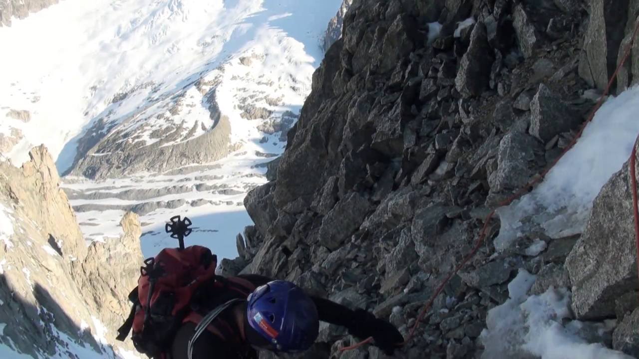 Aiguille de tal&egrave;fre - Fran&ccedil;ois LESAVRE