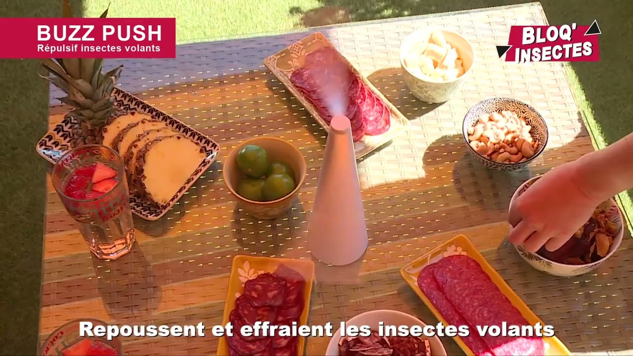 Répulsif à insectes volants BUZZ PUSH de Bloq'Insectes : profitez de vos repas sans les nuisances !