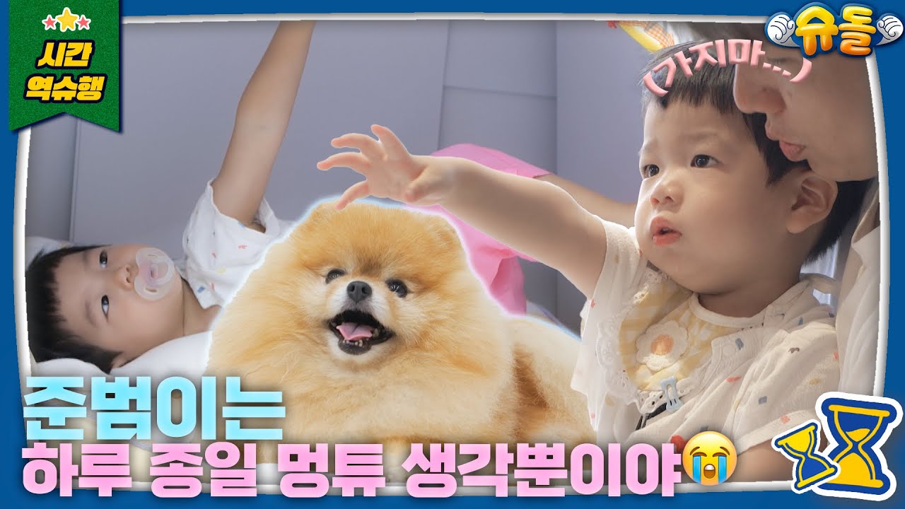내 친구 멍튜를 소개합니다🐶 | 슈퍼맨이 돌아왔다 KBS 240929 방송