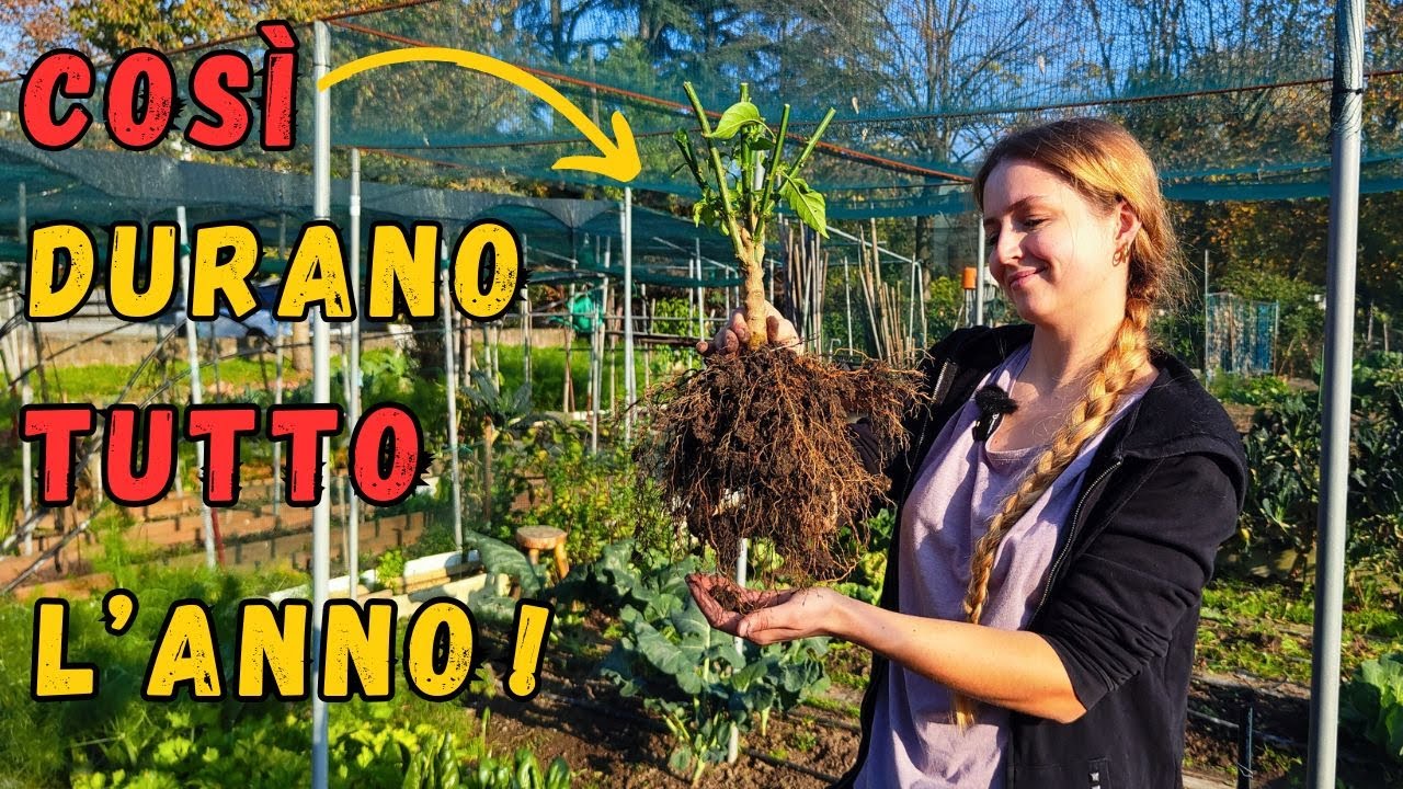 PEPERONCINI D'INVERNO: Il Metodo che NESSUNO ti dice!