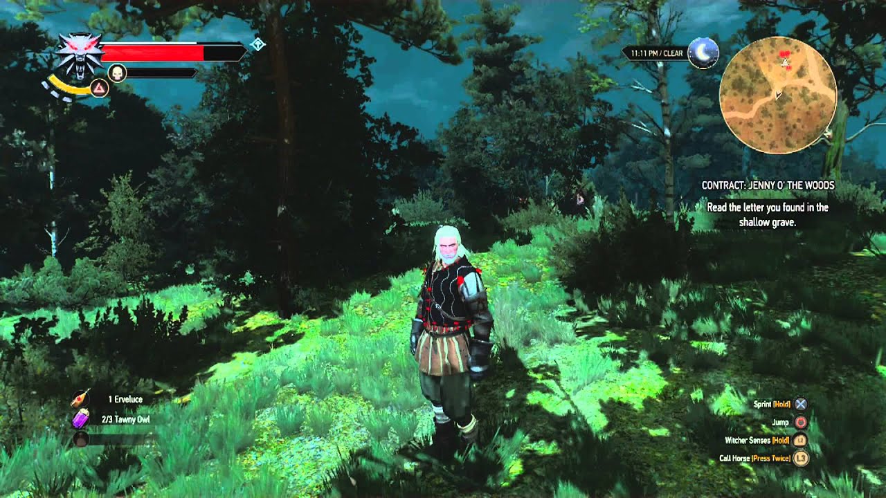 The Witcher 3 Wild Hunt Contract Jenny O' the Woods Kill the Monster