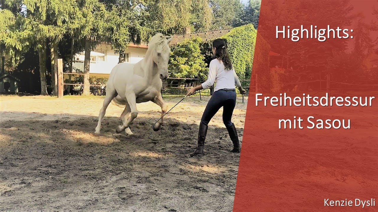 Faszination Pur - Kenzie und Sasou