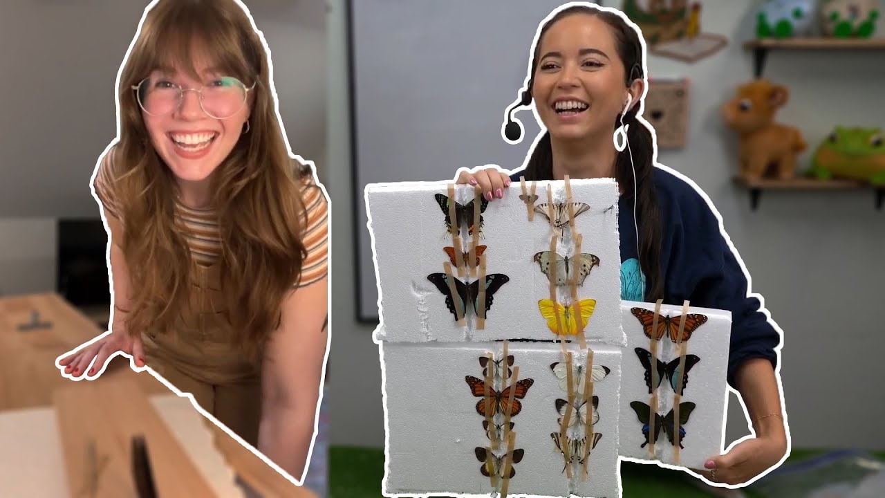 Butterfly Pinning With An Entomologist🦋🐛🐞 - 5/17/24