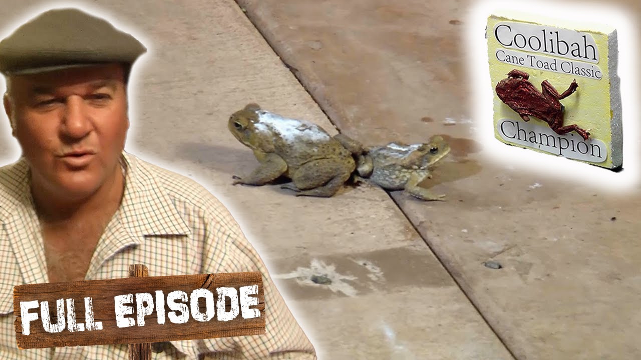 Это классика «Жаба Кулиба Кейн»! 🐸 | «Идти в ногу со всей семьёй» S01E15 | Полный эпизод | «Неукр...