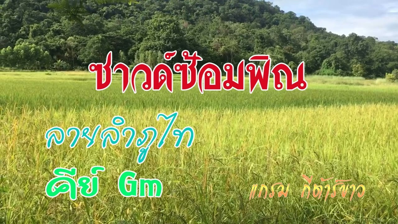 ซาวด์ซ้อมพิณ (backing track) ลายลำภูไท คีย์ Gm - แกรม กีต้าร์ขาว