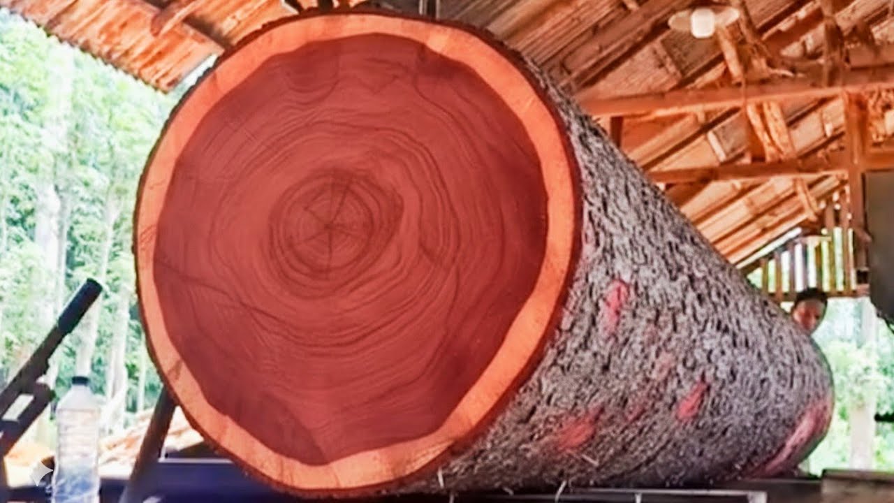 Elegant in eternity: the strength behind the solid wood texture 