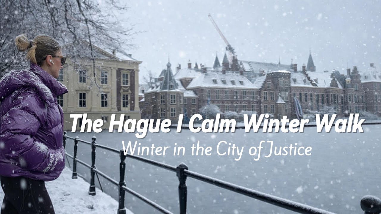 Snowy The Hague ❄️ I Cinematic Winter Walk I Relaxing City Ambience