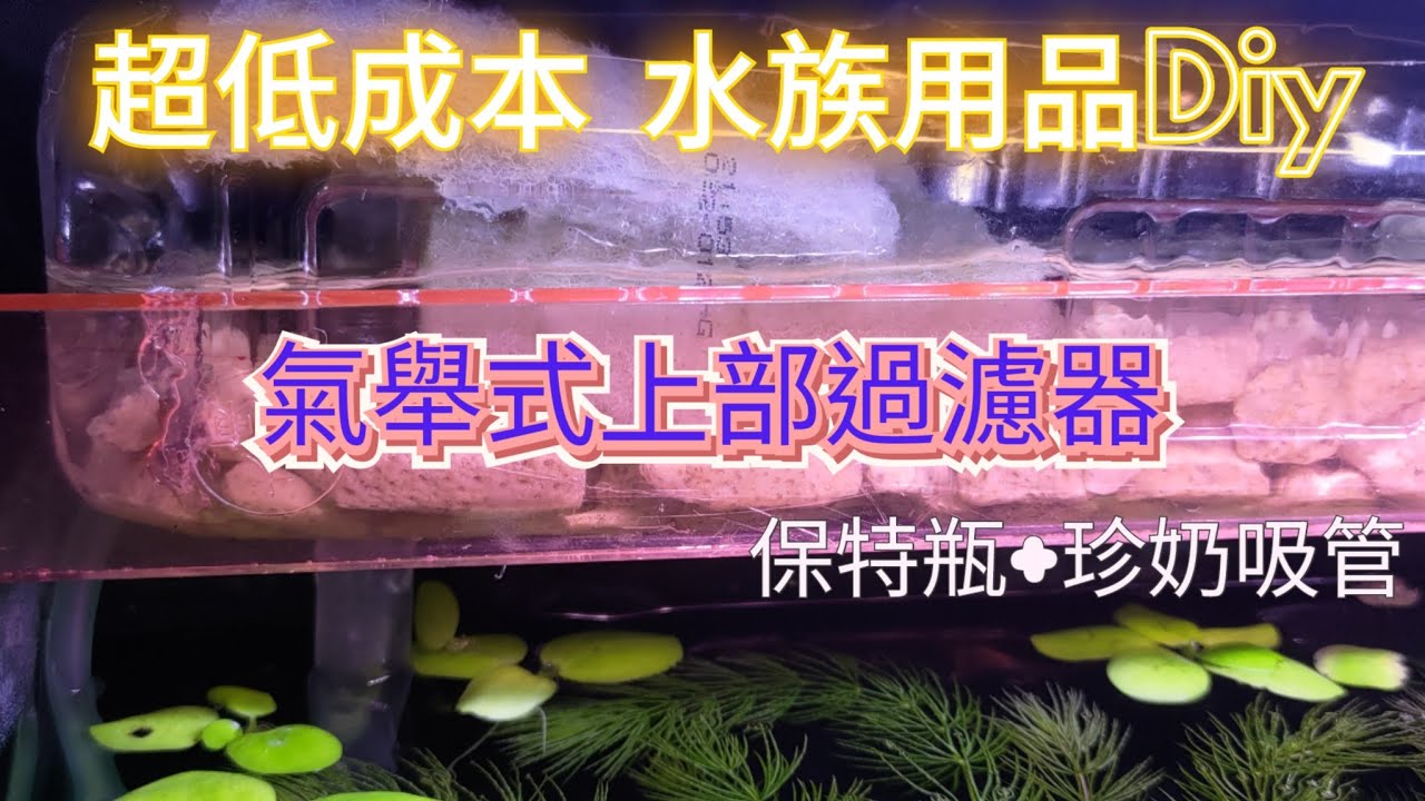 過濾器DIY 氣舉式動力應用  #水族好好玩 #水族