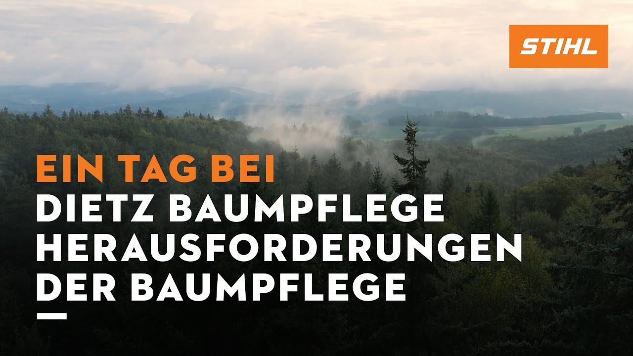 Ein Tag bei | Dietz Baumpflege: Anspruchsvolle&nbsp;Herausforderungen | STIHL