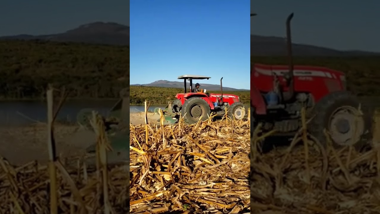 IMPLEMENTO AGR&Iacute;COLA TRINCHA ! #shorts