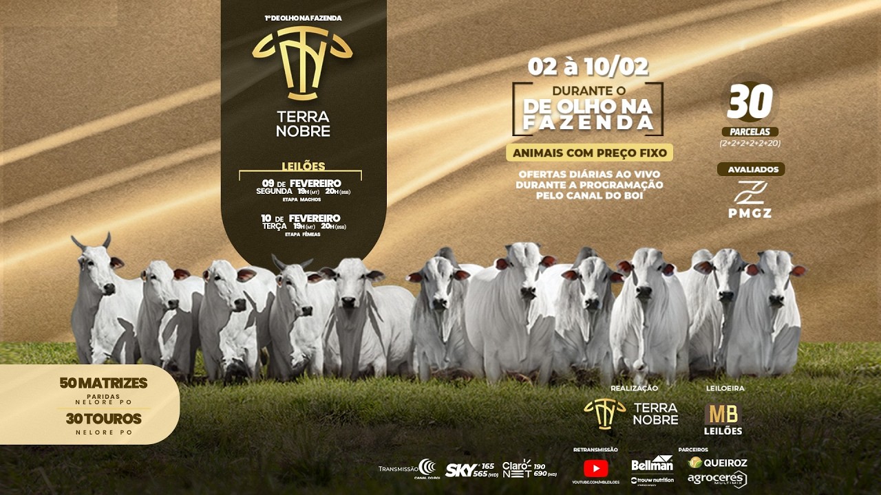 1° De Olho na Fazenda - Terra Nobre - 1° Part
