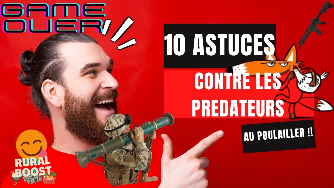 comment se débarrasser des prédateurs dans mon poulailler( les 10 astuces).