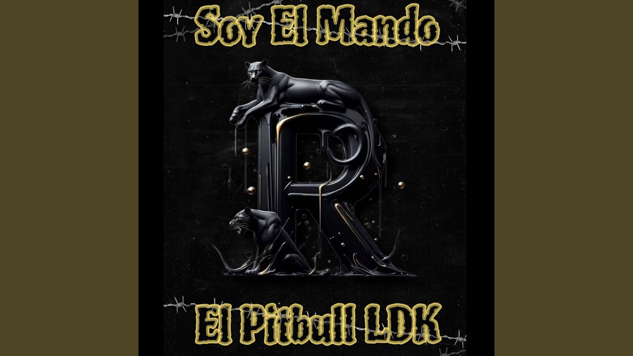 Soy el Mando R