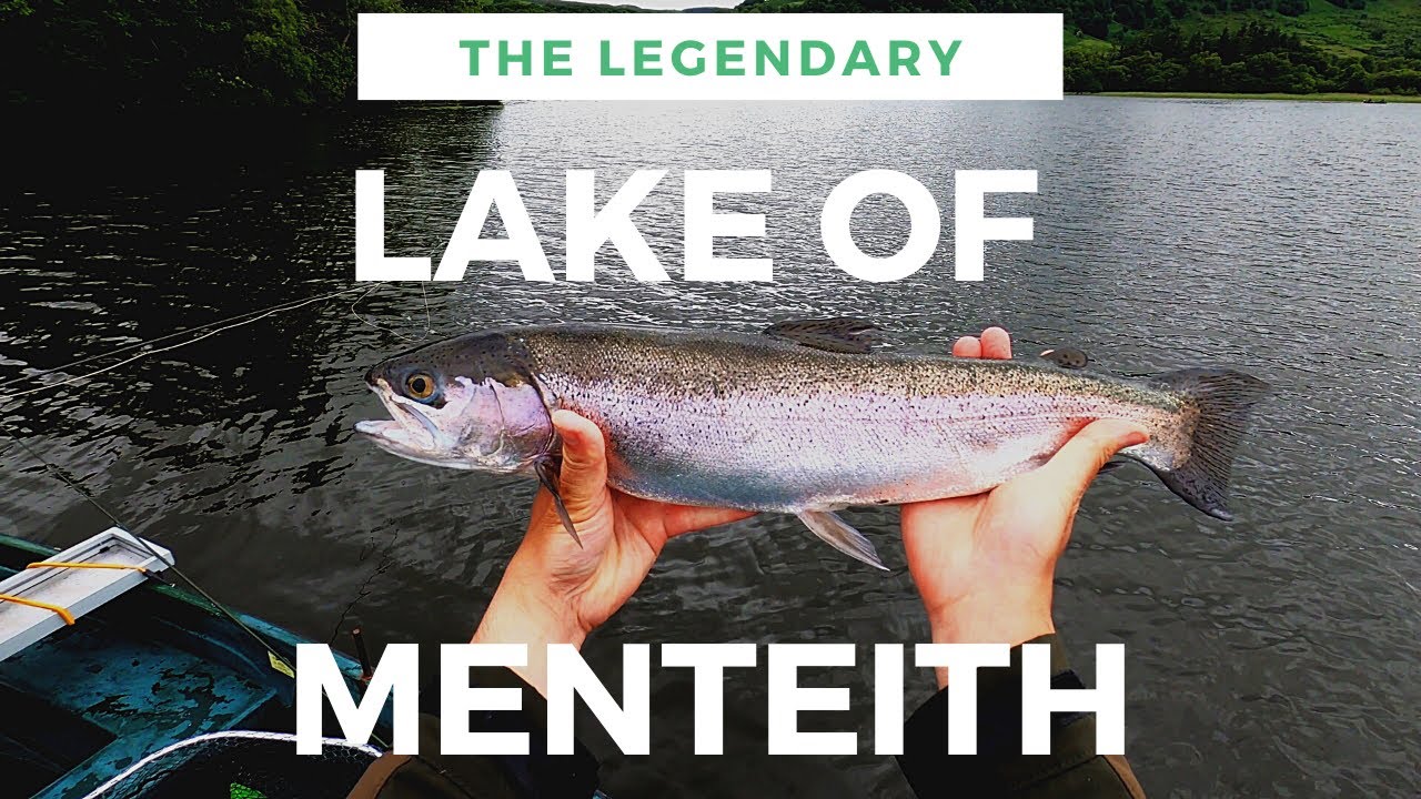 LAKE OF MENTEITH - Dry Fly Fishing In The Rain!